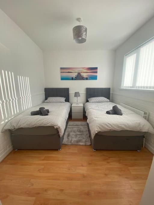 Modern Two Bed House Close To City Centre Belfast Dış mekan fotoğraf